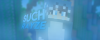 SuchRayze.png