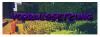 vorraus.png