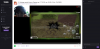 Twitch.PNG