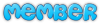Member.png