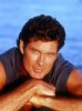 donthasselthehoff.jpg