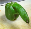Paprika Penis groß.png