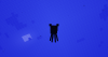 2015-08-16_00.12.36.png 2015-08-16_00.12.36.png