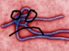 ebola traurig.jpg