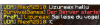 bild.png