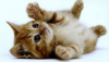 upload_2015-9-27_20-22-32.png