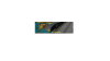 Stats.png