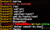 Screenshot_41.png