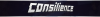 Consilience.png