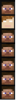 Steves.png