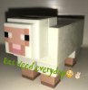 image.jpeg