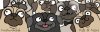 pug-banner.jpg