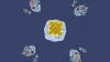 2015-12-12_10.19.30.png