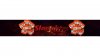 Banner Teamplate.jpg
