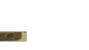 s.png