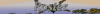 Roster.png
