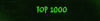 TOP 1000.png