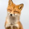 upload_2016-6-22_11-25-25.jpeg upload_2016-6-22_11-25-25.jpeg