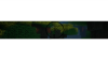 prvtn banner 5.png