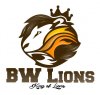 King Lion-preview.jpg