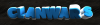 Brumm brumm.png