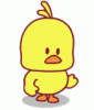 vid.gif