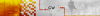 CWS.png