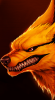 516d6db7058b8064b2304e4adc51dcc7.png