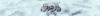 rfr.png