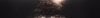 IntoDarkness.jpg