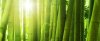 upload_2016-8-10_11-20-26.jpeg