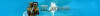 Banner GommeHDnet Forum.png