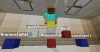 bug.png