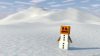 minecraft.jpg minecraft.jpg