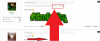 Bild.png