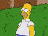 323232.gif