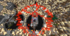 Hub.png