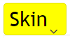Skin.PNG