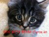upload_2017-9-24_16-17-23.jpeg