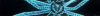 IMG_2341.PNG