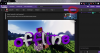 de50837d2164db395b961cfde8f87aae.png
