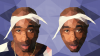 Vorschau.png