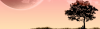12C54641-D254-47B6-94A9-A93B2DB25CDD.png