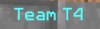 Team T4.png