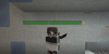 CManager.png