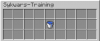 Skywars-Training.PNG