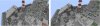 spot.jpeg