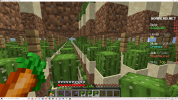 Screenshot (50).png