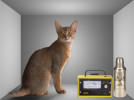 Schrödinger_cat.png