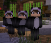 Panda.PNG